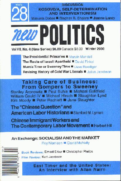 [New Politics No. 28 Cover]