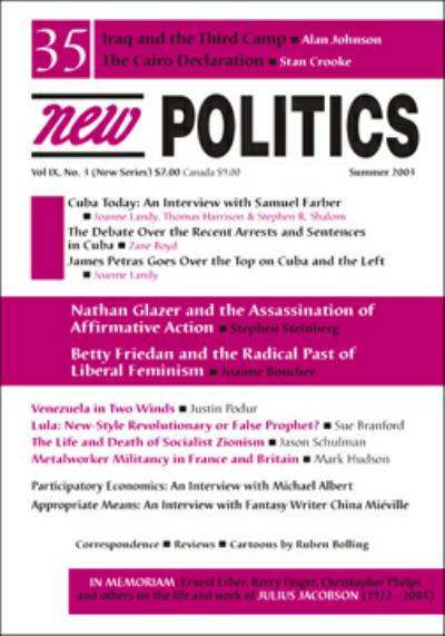 [New Politics No. 35 Cover]